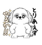 新・B＆Wシーズー犬  「やるかやらないか」（個別スタンプ：26）