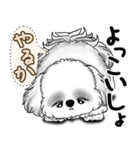 新・B＆Wシーズー犬  「やるかやらないか」（個別スタンプ：29）