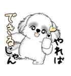 新・B＆Wシーズー犬  「やるかやらないか」（個別スタンプ：35）