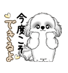 新・B＆Wシーズー犬  「やるかやらないか」（個別スタンプ：36）