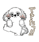 新・B＆Wシーズー犬  「やるかやらないか」（個別スタンプ：38）