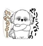 新・B＆Wシーズー犬  「やるかやらないか」（個別スタンプ：39）