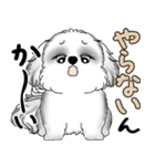 新・B＆Wシーズー犬  「やるかやらないか」（個別スタンプ：40）
