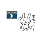 年中使えるお天気のことを話すうさぎ（個別スタンプ：5）