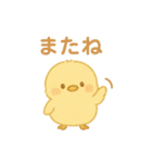 ひよこの毎日使えるスタンプ1（個別スタンプ：2）