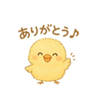 ひよこの毎日使えるスタンプ1（個別スタンプ：3）