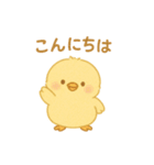 ひよこの毎日使えるスタンプ1（個別スタンプ：5）