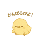 ひよこの毎日使えるスタンプ1（個別スタンプ：9）
