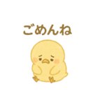 ひよこの毎日使えるスタンプ1（個別スタンプ：13）