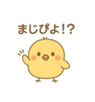 ひよこの毎日使えるスタンプ1（個別スタンプ：18）