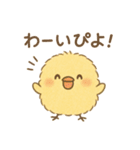 ひよこの毎日使えるスタンプ1（個別スタンプ：19）