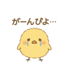 ひよこの毎日使えるスタンプ1（個別スタンプ：20）