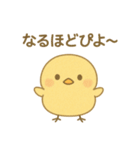 ひよこの毎日使えるスタンプ1（個別スタンプ：21）
