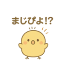 ひよこの毎日使えるスタンプ1（個別スタンプ：25）