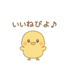ひよこの毎日使えるスタンプ1（個別スタンプ：29）