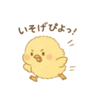 ひよこの毎日使えるスタンプ1（個別スタンプ：31）