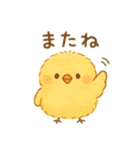 ひよこの毎日使えるスタンプ1（個別スタンプ：37）