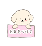 【わんちゃん】日常スタンプ（個別スタンプ：12）