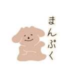 【わんちゃん】日常スタンプ（個別スタンプ：23）