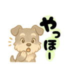 いぬたちと一緒①（個別スタンプ：1）