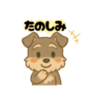 いぬたちと一緒①（個別スタンプ：11）