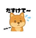 いぬたちと一緒①（個別スタンプ：30）
