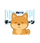 いぬたちと一緒①（個別スタンプ：33）