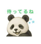 【パンダ】の日常（個別スタンプ：10）