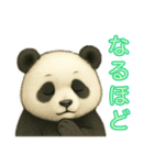 【パンダ】の日常（個別スタンプ：14）