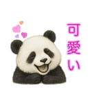 【パンダ】の日常（個別スタンプ：16）