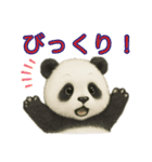 【パンダ】の日常（個別スタンプ：18）
