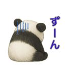 【パンダ】の日常（個別スタンプ：20）