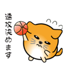 nobobi 丸めのワンコ2（個別スタンプ：37）