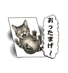 ハッピー＆ラッキースタンプ(=^ェ^=) ⑭（個別スタンプ：4）