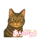 ハッピー＆ラッキースタンプ(=^ェ^=) ⑭（個別スタンプ：10）