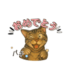 ハッピー＆ラッキースタンプ(=^ェ^=) ⑭（個別スタンプ：11）