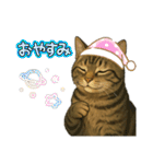 ハッピー＆ラッキースタンプ(=^ェ^=) ⑭（個別スタンプ：14）