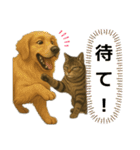ハッピー＆ラッキースタンプ(=^ェ^=) ⑭（個別スタンプ：19）