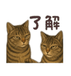 ハッピー＆ラッキースタンプ(=^ェ^=) ⑭（個別スタンプ：20）