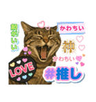 ハッピー＆ラッキースタンプ(=^ェ^=) ⑭（個別スタンプ：22）