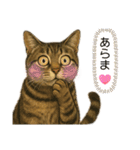 ハッピー＆ラッキースタンプ(=^ェ^=) ⑭（個別スタンプ：23）