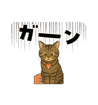 ハッピー＆ラッキースタンプ(=^ェ^=) ⑭（個別スタンプ：24）