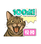 ハッピー＆ラッキースタンプ(=^ェ^=) ⑭（個別スタンプ：26）