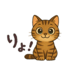 ハッピー＆ラッキースタンプ(=^ェ^=) ⑭（個別スタンプ：27）