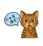 ハッピー＆ラッキースタンプ(=^ェ^=) ⑭（個別スタンプ：30）
