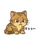 ハッピー＆ラッキースタンプ(=^ェ^=) ⑭（個別スタンプ：35）