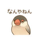 いろいろ桜文鳥のスタンプ（個別スタンプ：1）