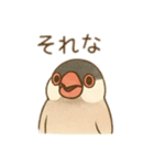 いろいろ桜文鳥のスタンプ（個別スタンプ：2）