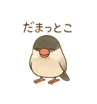 いろいろ桜文鳥のスタンプ（個別スタンプ：4）