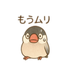 いろいろ桜文鳥のスタンプ（個別スタンプ：7）